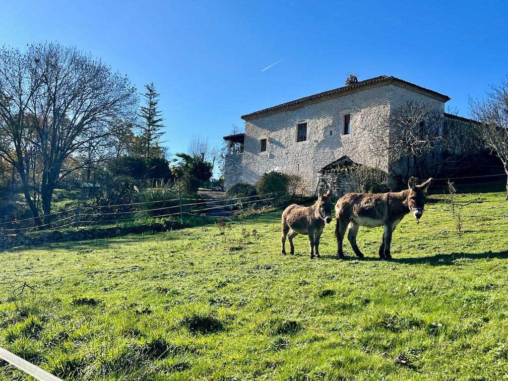 Achat maison à vendre 4 chambres 267 m² - Masquières