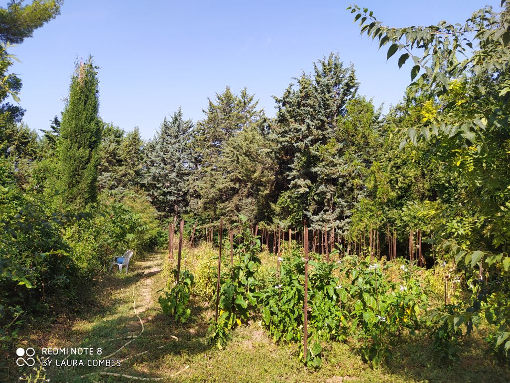 Achat maison 6 chambre(s) - Clermont-l'Hérault