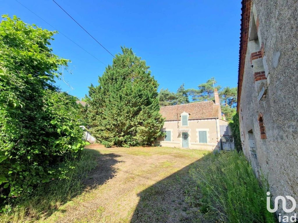 Achat maison à vendre 4 chambres 220 m² - Saint-Benoît-sur-Loire