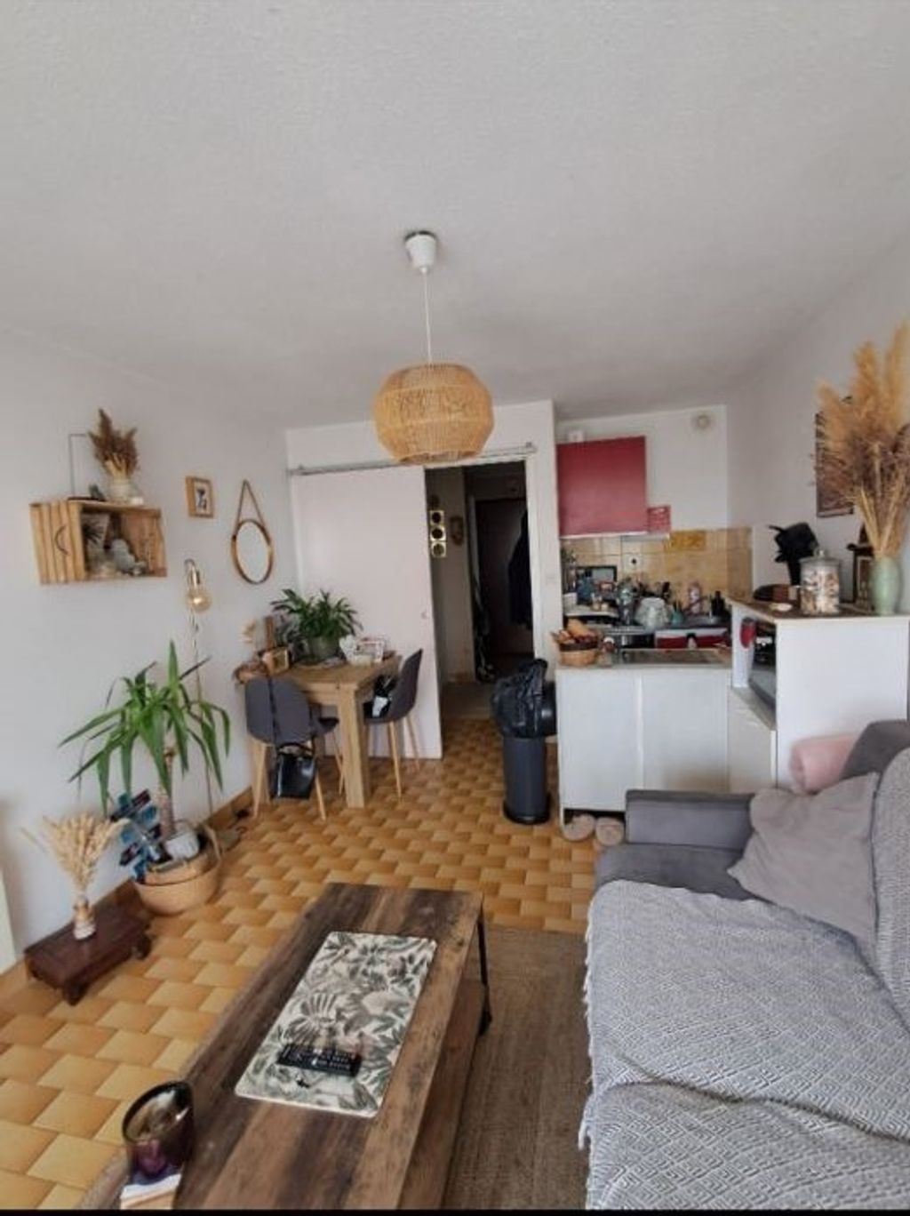 Achat studio à vendre 24 m² - Mauguio