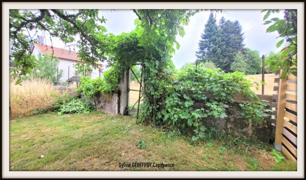 Achat maison à vendre 4 chambres 130 m² - Badonviller